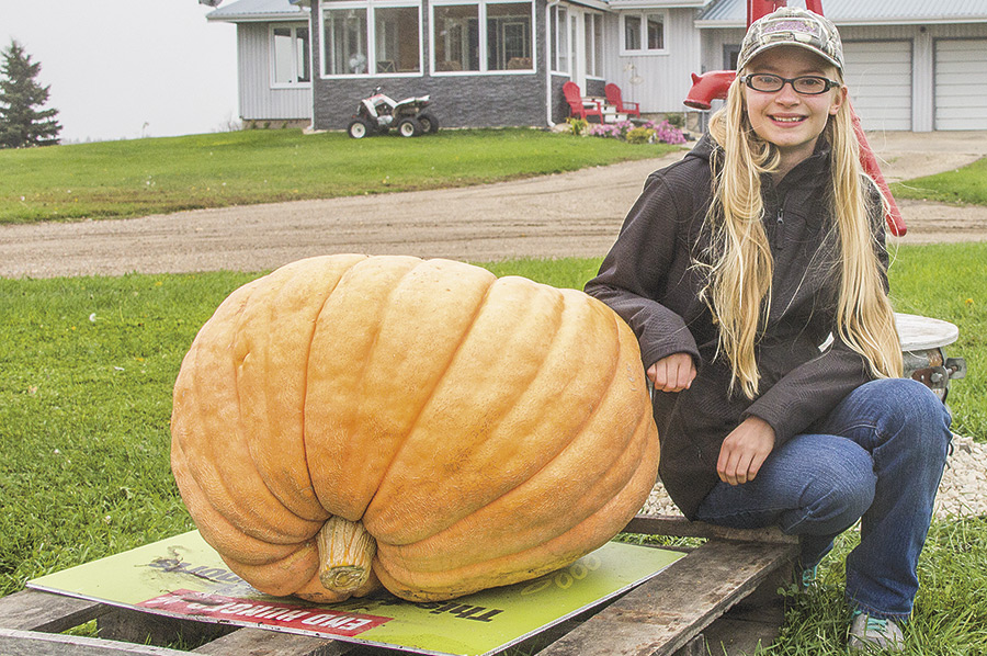 stephanie-peters-pumpkin